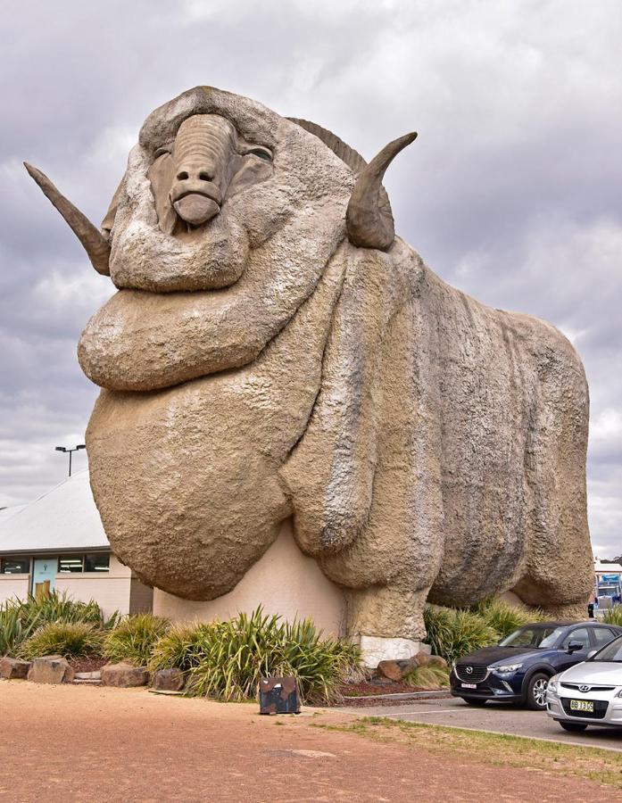 Goulburn Motor Inn Екстер'єр фото